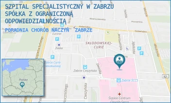 PORADNIA CHORÓB NACZYŃ - SZPITAL SPECJALISTYCZNY W ZABRZU SPÓŁKA Z OGRANICZONĄ ODPOWIEDZIALNOŚCIĄ - UL. MARII CURIE-SKŁODOWSKIEJ 10,  ZABRZE