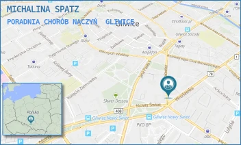 PORADNIA CHORÓB NACZYŃ - MICHALINA SPATZ-JOB - UL. MIKOŁOWSKA 25,  GLIWICE